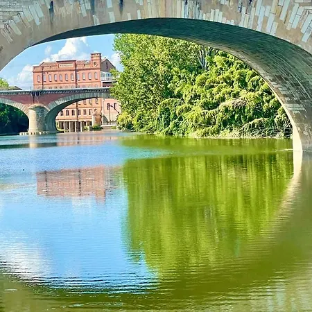 Moulin D'albias Aux Portes De Montauban Ξενοδοχείο με διαμερίσματα Albias