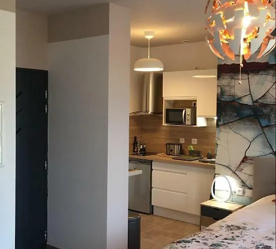 Moulin D'albias Aux Portes De Montauban アパートホテル Albias